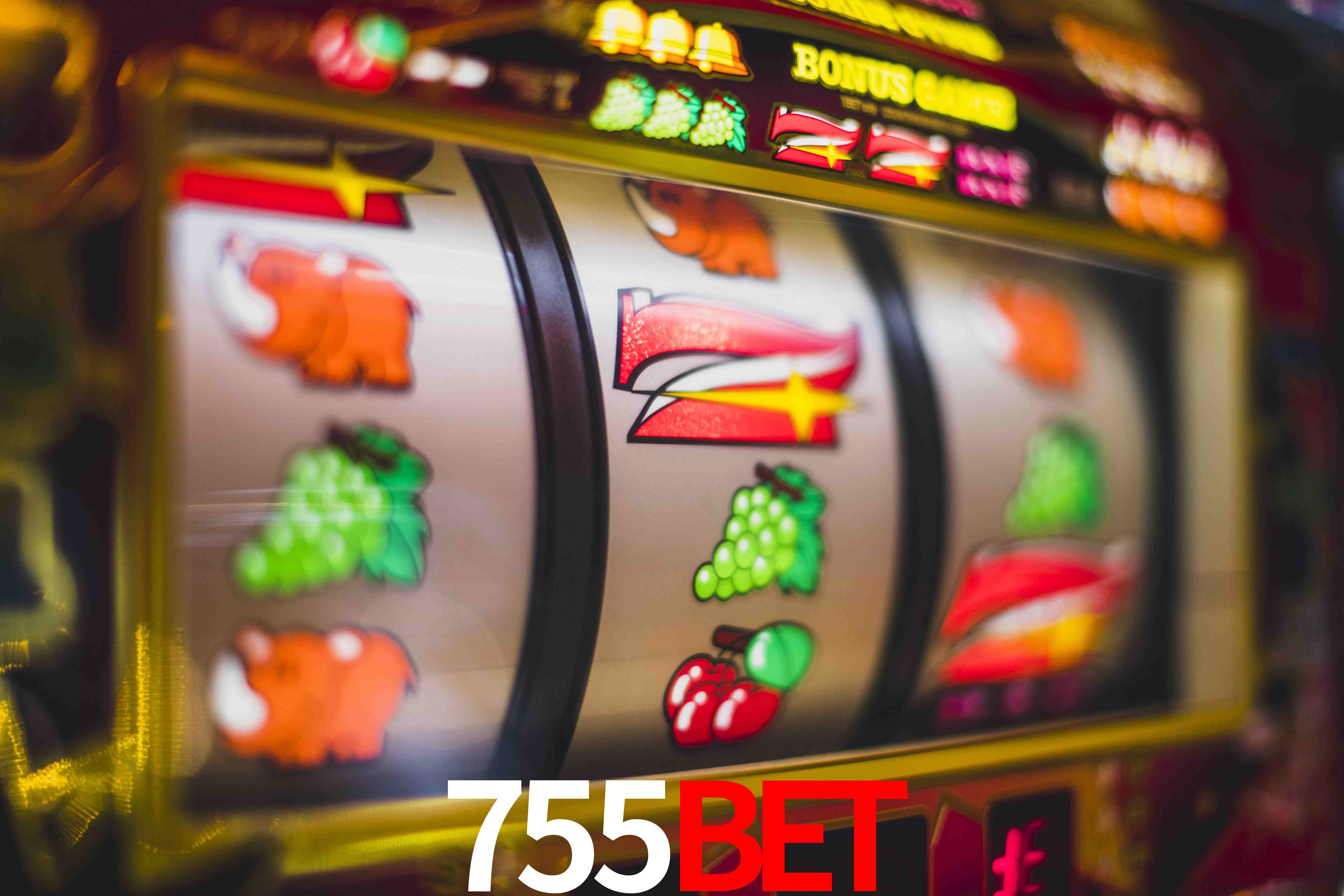 Experiência VIP 755bet